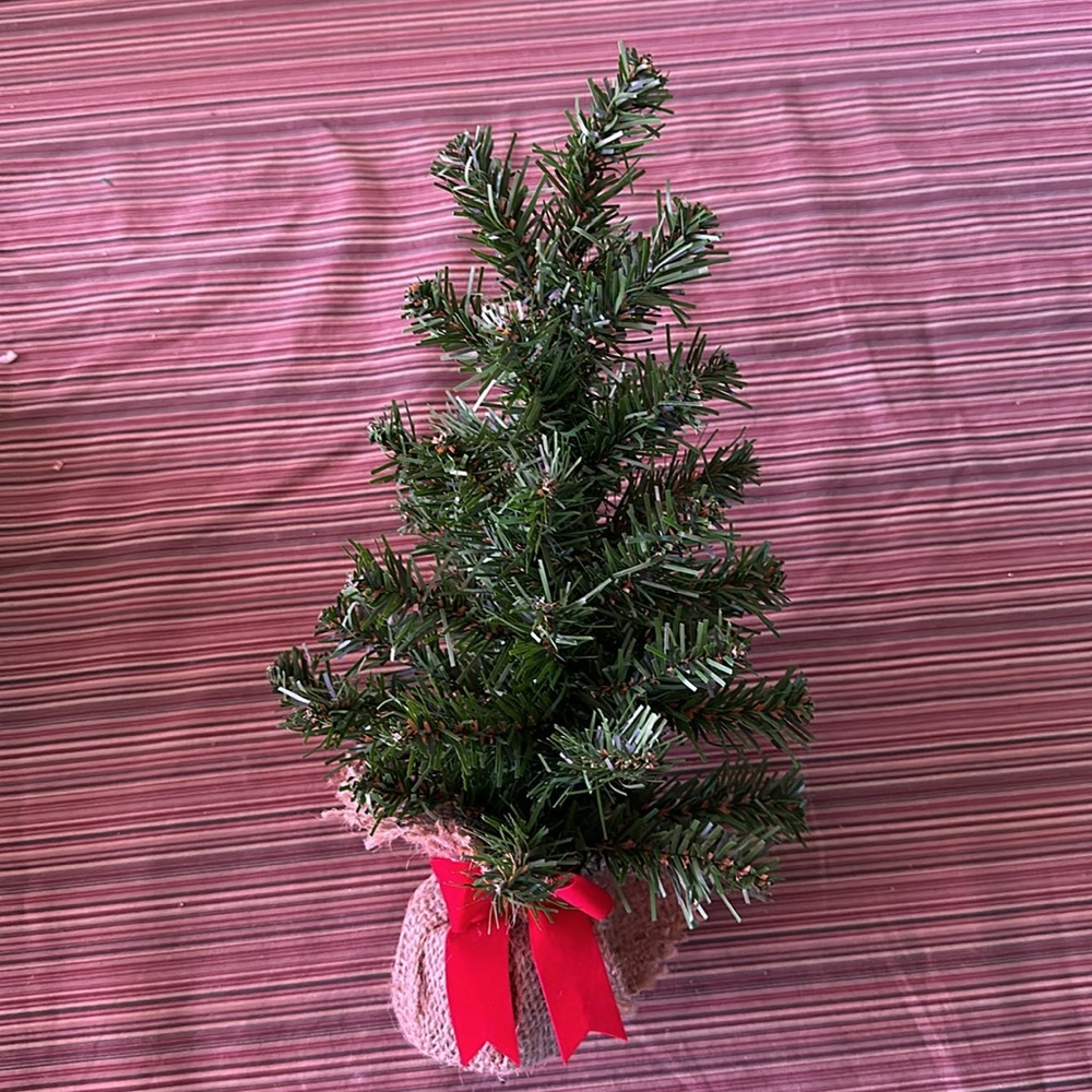 Mini Christmas tree with silver garland